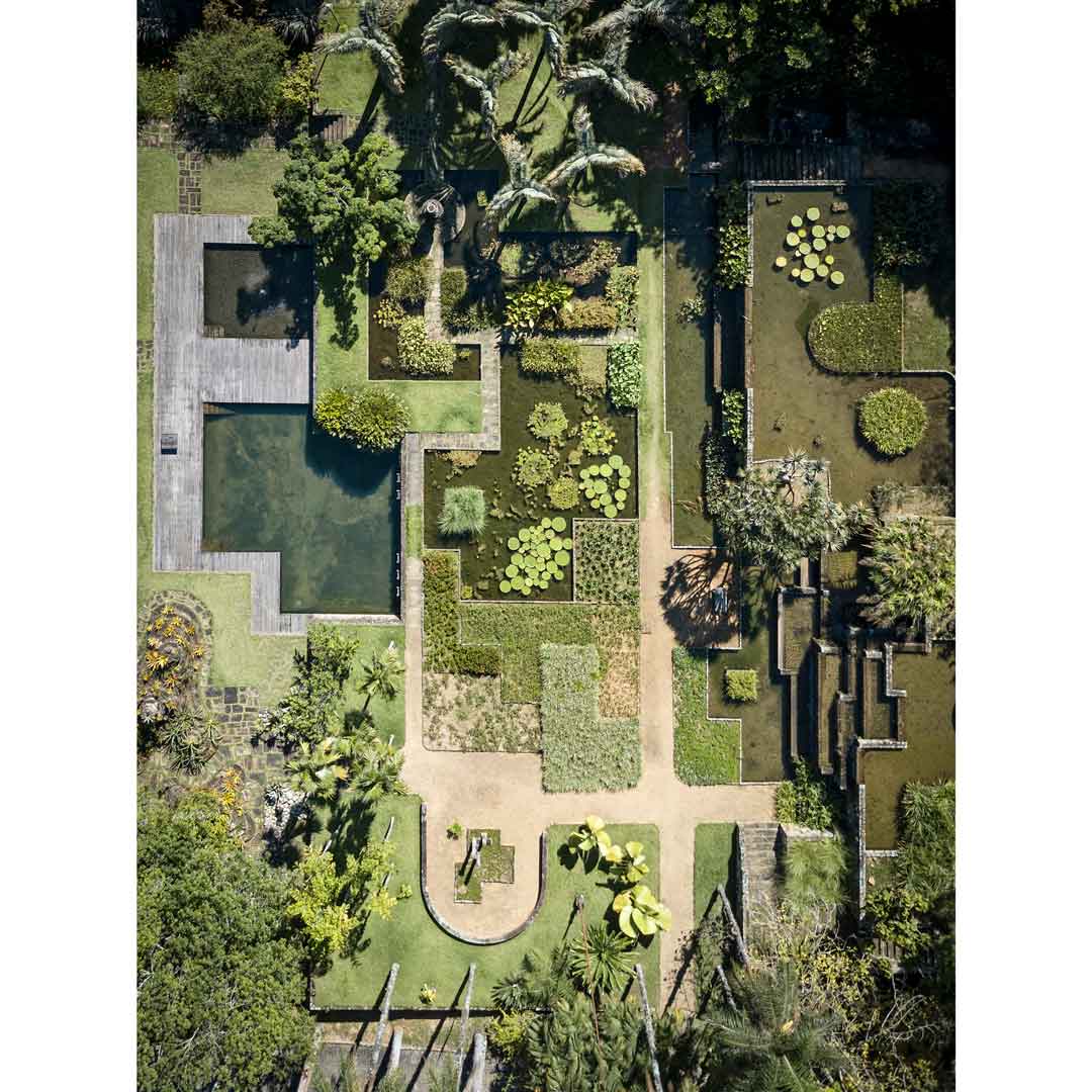  Jardim Projeto Burle Marx